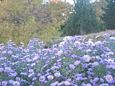 2002 - The Botanic Gardens in Hamburg - 24th October 2002 