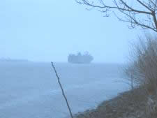 A car transporter ship on the Elbe