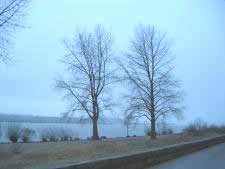 Twilight on the Elbe