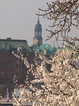 Michel Hamburg from the Alster Lake - © nicolls d.zine