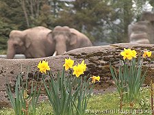 Hagenbeck's Zoo Hamburg Spring 2004